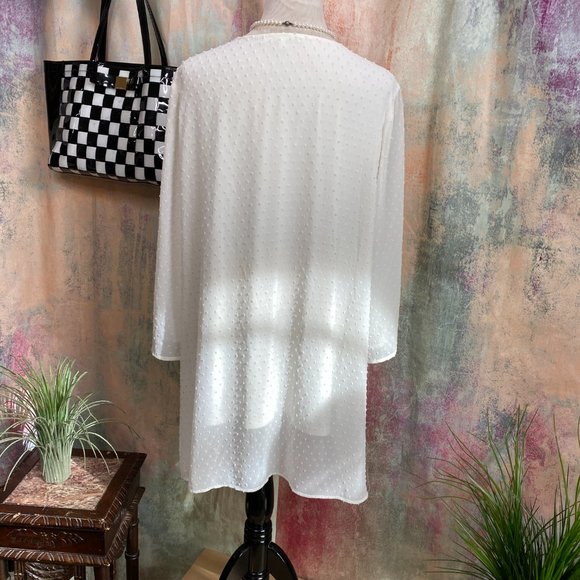 📌Daniel Rainn Chiffon Blouse with Tassel Tie - Picture 2 of 14